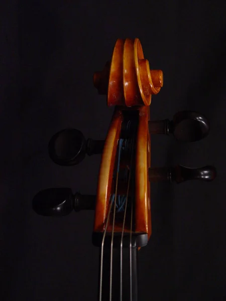 Violino Instrumento Musical Close — Fotografia de Stock