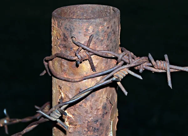 Prawie Zapomniane Ale Odkryte — Zdjęcie stockowe