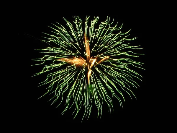 烟花在夜空中爆炸 庆祝节日 — 图库照片