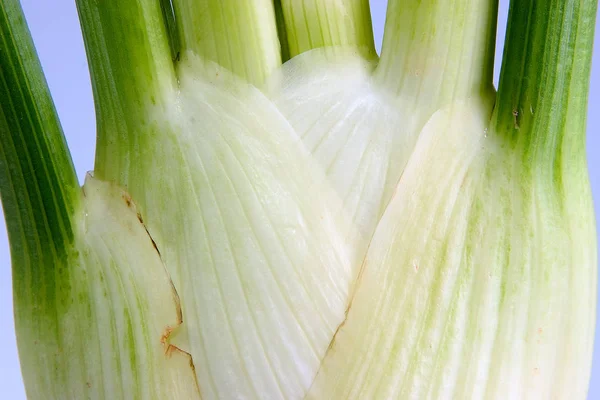 Makanan Vegetarian Fokus Selektif — Stok Foto