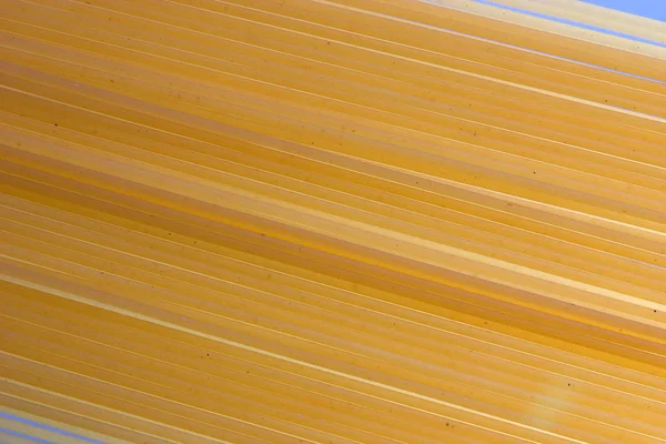 Spaghetti Traditionell Italiensk Mat — Stockfoto