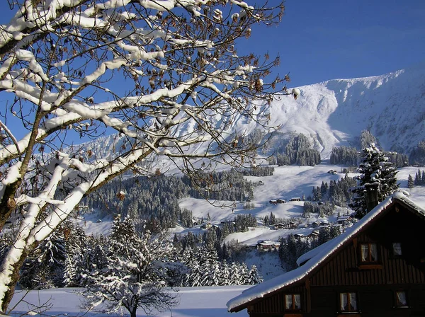 Nature Étonnante Sur Fond Montagnes Des Alpes — Photo