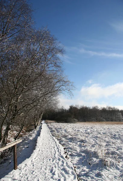 Lande Noire Tourbière Dans Région Frontalière Près Fulda — Photo