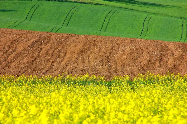 Pitoresca Vista Paisagem Rural — Fotografia de Stock