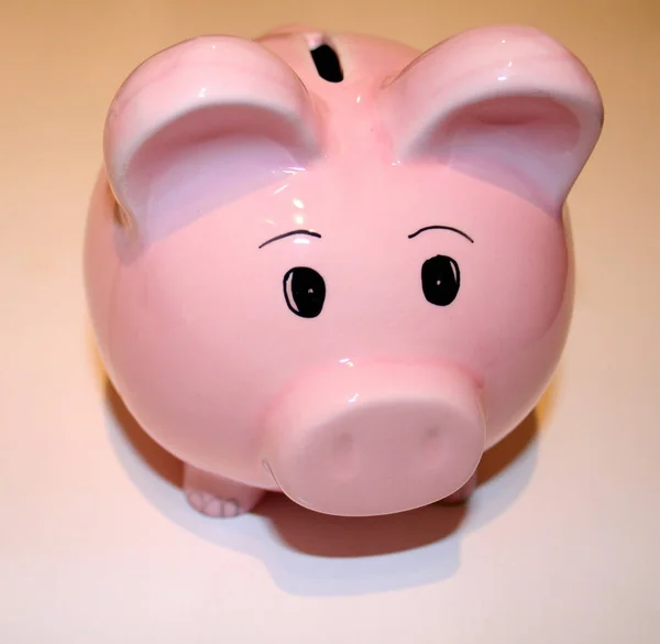 Spaargeld Voor Varkens Financiën — Stockfoto