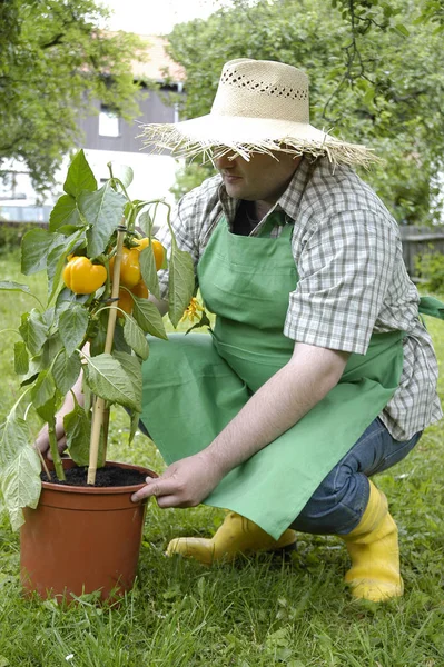 Joven Sombrero Con Flores Las Manos — Foto de Stock