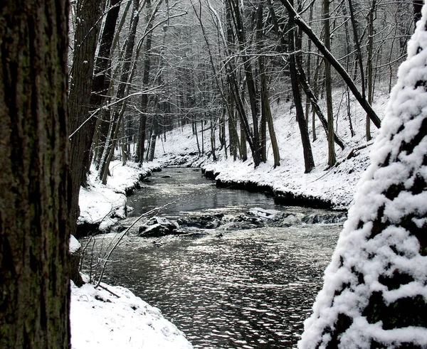 Blick Auf Eine Winterszene — Stockfoto