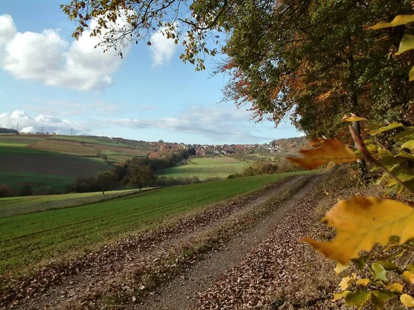 Vue Pittoresque Sur Magnifique Paysage Automne — Photo