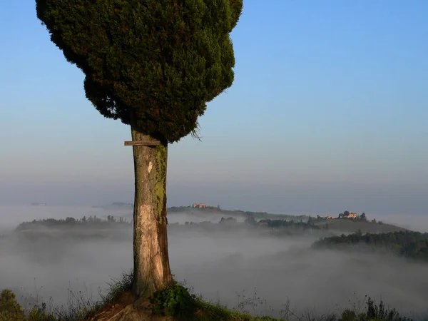 トスカーナの朝の霧 — ストック写真