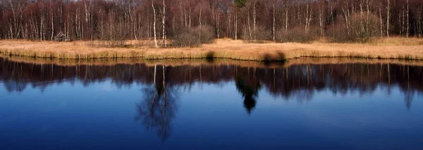 Malerischer Blick Auf Die Outdoor Szene — Stockfoto