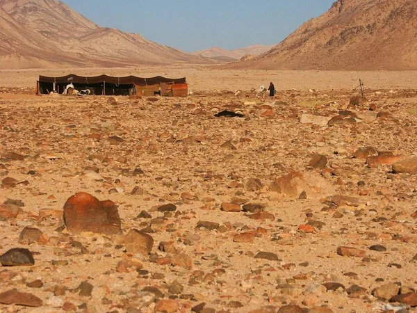 Sur Jordania Beyt Hogar Una Familia Bedouin Inmensidad Del Ron — Foto de Stock