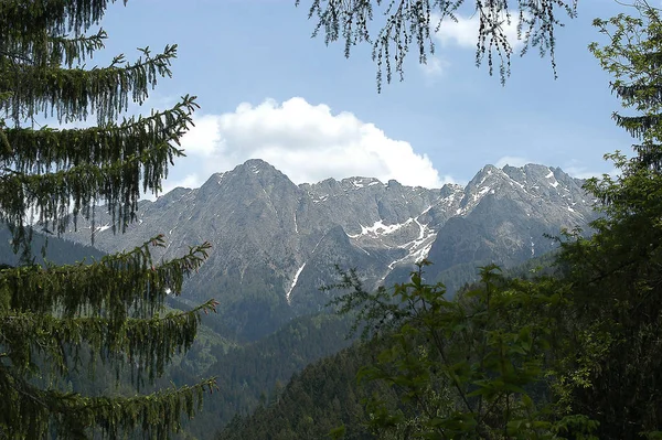 Pittoresk Uitzicht Buitenwereld — Stockfoto