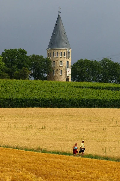 Lopen Elk Weer — Stockfoto