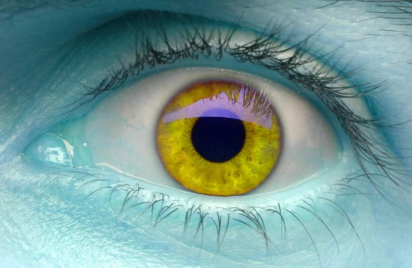 Oeil Bleu Avec Iris Vert — Photo