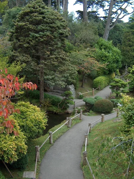 Chemins Dans Jardin Japonais Thé — Photo