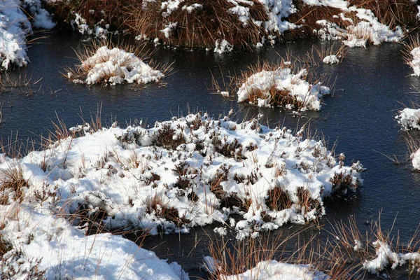 Vue Une Scène Hivernale — Photo