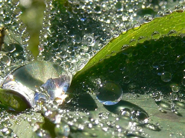 Universe Mirror Drops — Stock Photo, Image