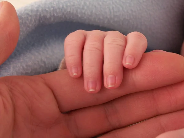 Little Newborn Baby Child — Stock Photo, Image