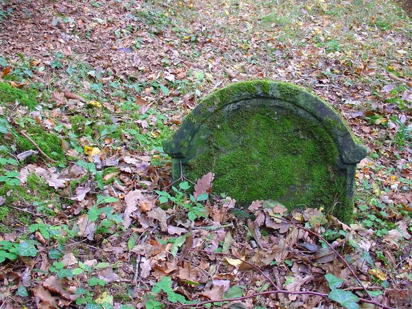 Schöne Aussicht Auf Die Natur — Stockfoto