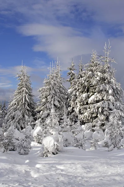 Vista Pitoresca Bela Paisagem Inverno — Fotografia de Stock