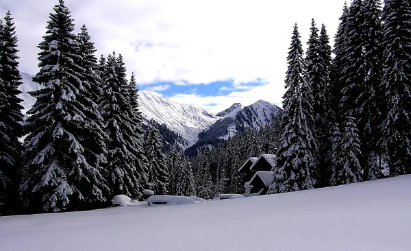 Paisaje Invernal Con Árboles Cubiertos Nieve — Foto de Stock