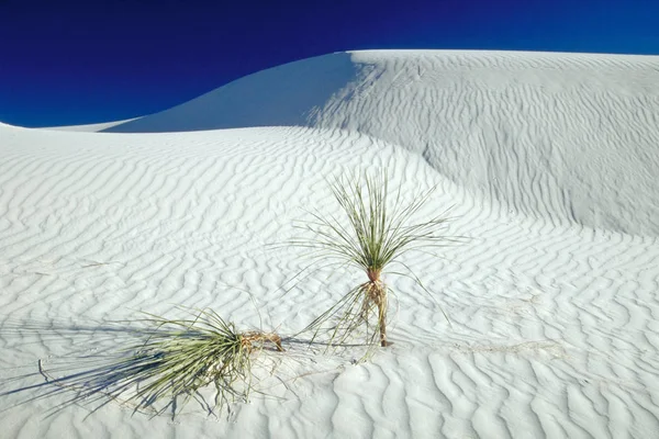 White Sands — Stock Photo, Image