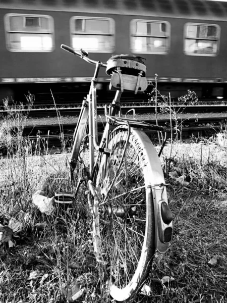 Vintage Bicycle Flowers — Stock Photo, Image