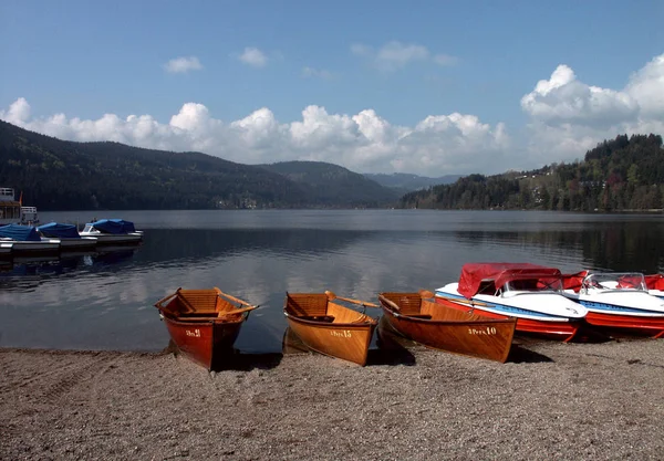 Morning Lake Titisee — Stock Photo, Image