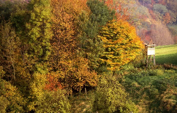 Bella Vista Della Scena Della Natura — Foto Stock