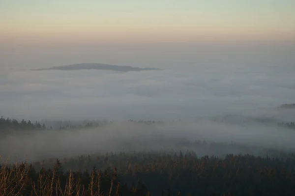 Тумане — стоковое фото