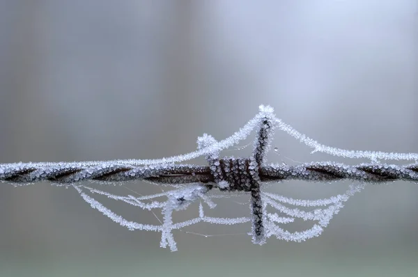 Vista Uma Cena Inverno — Fotografia de Stock