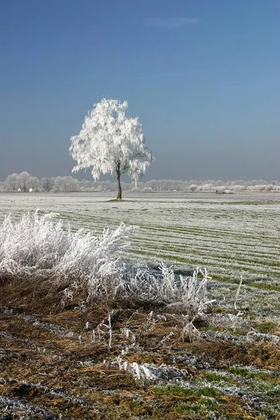 picturesque view of beautiful wintry landscape