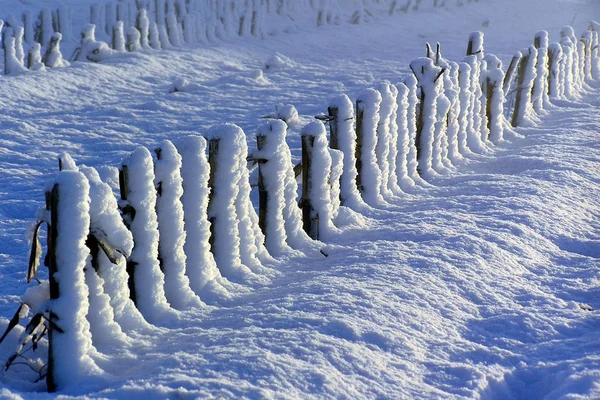 Kleurrijke Achtergrond Voor Kerst Nieuwjaar Vakantie Kaart — Stockfoto