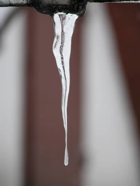 Eiszapfen Kalten Wintertagen — Stockfoto