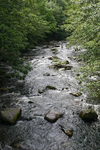 Vale Bode Perto Thale Harz — Fotografia de Stock