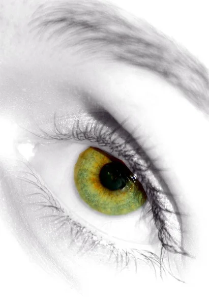 近视女性的眼睛与绿色的眼睛 — 图库照片