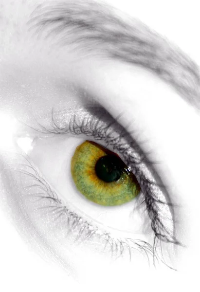 Gros Plan Œil Femme Aux Yeux Verts — Photo