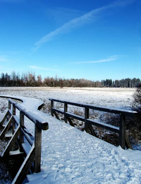 All Previous Winter Photographs Come Family Reunion Fulda Hope Still — ストック写真