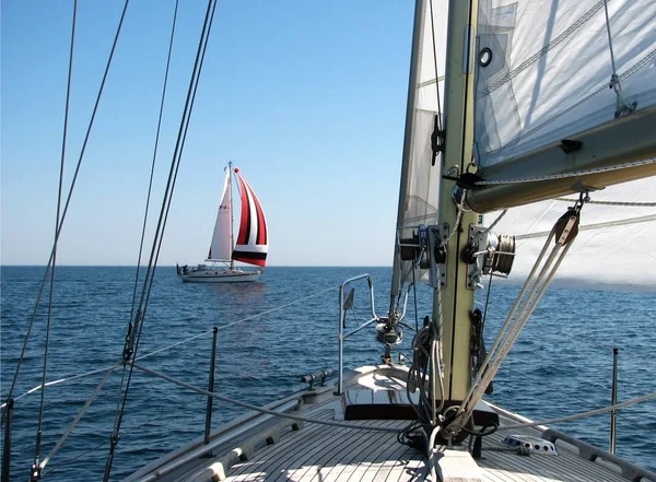 船向风的船 船帆五彩斑斓 让位给了向风的船 在这种情况下 它是合适的 双方都可以进一步控制航向 — 图库照片