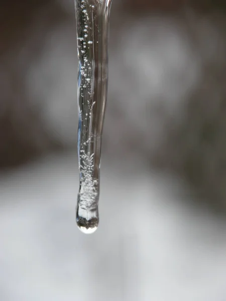 Jégcsapok Hideg Téli Napokon — Stock Fotó