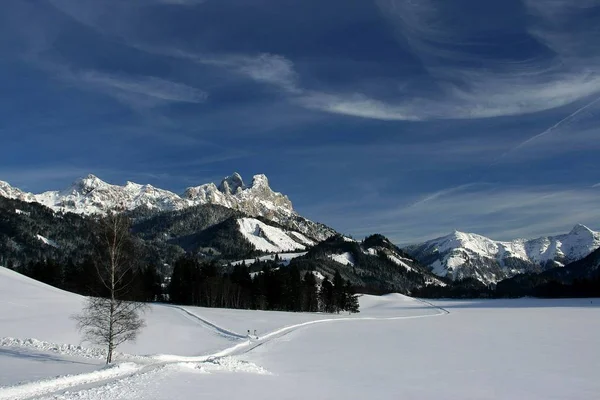 Veselé Vánoce Zdravý Nový Rok 2006 Přeje Všem Kamarádům Uživatelům — Stock fotografie