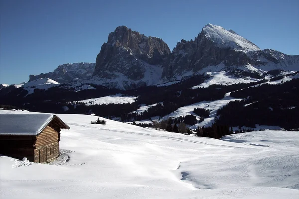 Seiser Alm Sullo Sfondo Placca Langkofel — Foto Stock