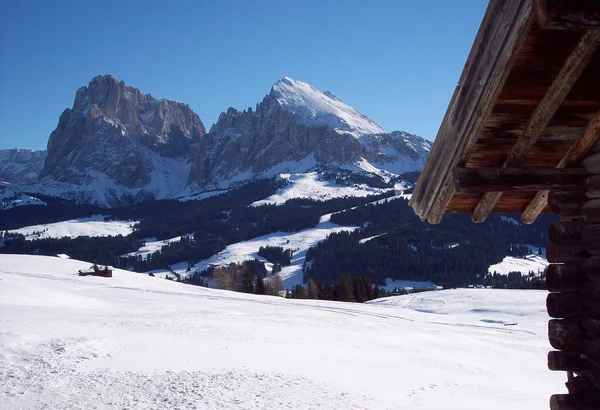 Alpe Siusi Background Langkofel Plattkofel — Stock Photo, Image