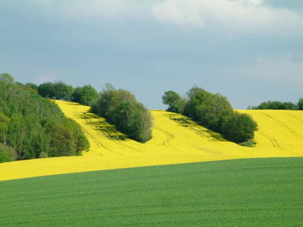 Bela Vista Paisagem Natureza — Fotografia de Stock