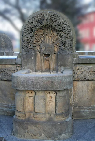 Marktbrunnen Şehri Waldheim 1903 Ten Kalma Sanat Tarzında Bitki Hayvan — Stok fotoğraf