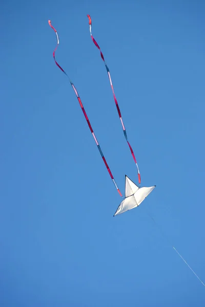 Drachen Fliegen Den Himmel — Stockfoto