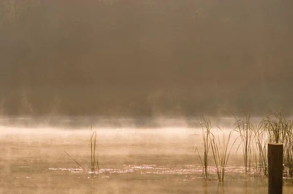 Туман Озере — стоковое фото