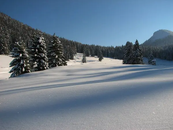 Dieses Bild Entstand Bei Einer Winterwanderung Tufttal Richtung Bodenschneid Schliersee — Stockfoto