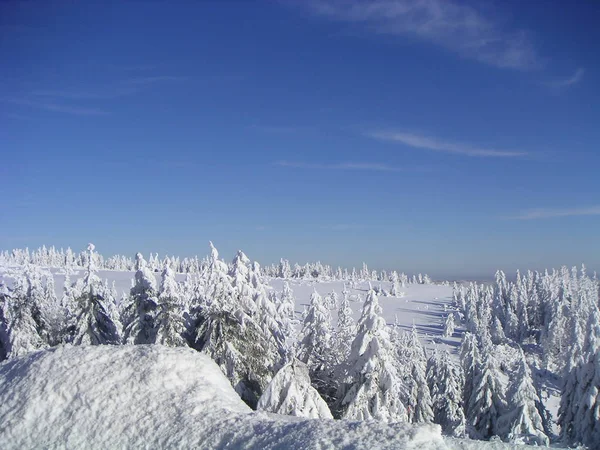 Schwarzwald Den December 2005 — Stockfoto