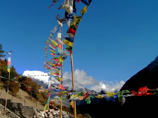 Drapeaux Prière Vent Nepal — Photo